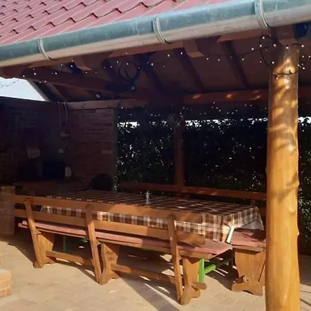 Hajnalka Vendeghaz *