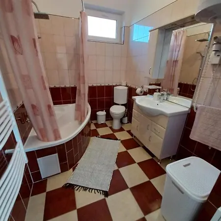 Hajnalka Vendeghaz *