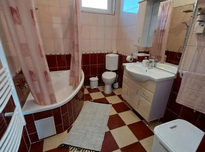 Hajnalka Vendeghaz *